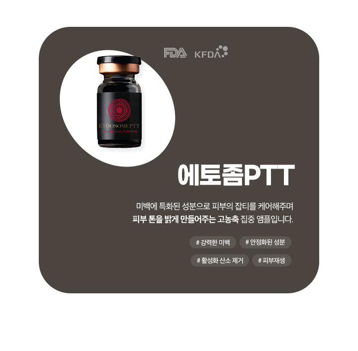 에토좀PTT