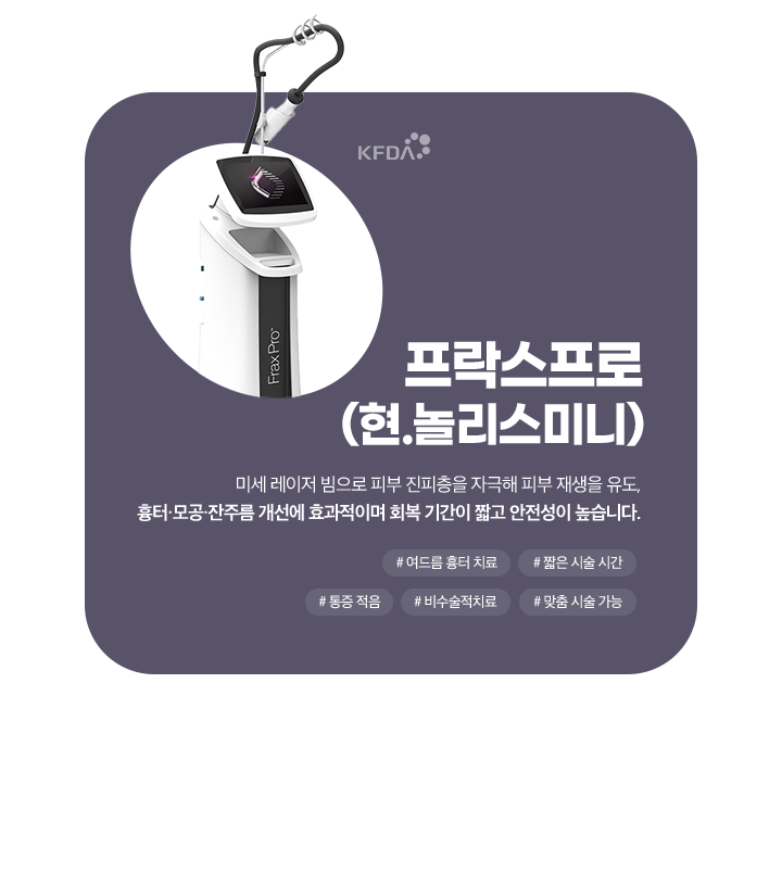 프락프로(현.놀리스미니)