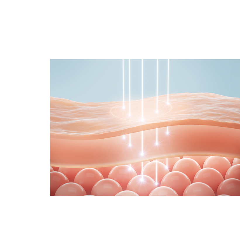 슈링크 유니버스