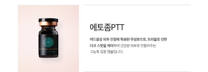 에토좀PTT